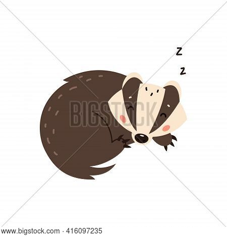 Badger On A White Background. Forest Animal. Vector Illustration Of Brock Mammal Species