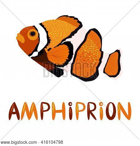 Amphiprion, Clownfish Orange Bright Sea Dweller In Scandinavian Style, Hand Drawn And Lettering