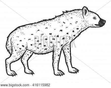 Animal Of Africa, Hyena. Sketch Scratch Board Imitation. Black And White.