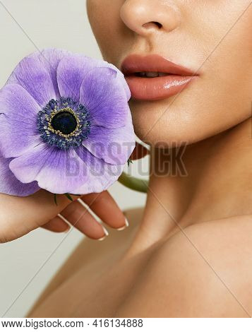 Beautiful Lips After Augmentation. Sensual Female Lips With Purple Flower