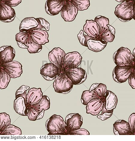 Seamless Pattern With Hand Drawn Colored Sakura Flowers Stock Illustration