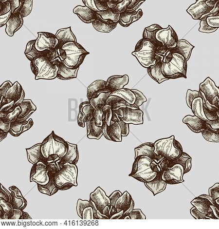 Seamless Pattern With Hand Drawn Colored Magnolia Flowers Stock Illustration