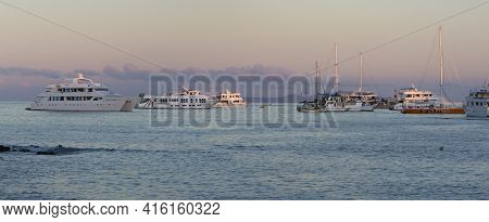 Puerto Ayora, Ecuador, February 12: Panorama Of Sunset, A Pelican And Cruise Ships In The Port Of Pu
