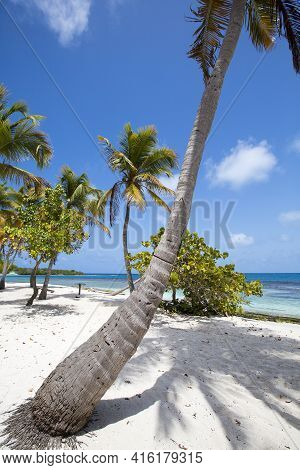 Morrocoy National Park, Paradise Islands With Coconut Trees, White Sand Beaches, Turquoise Ocean And