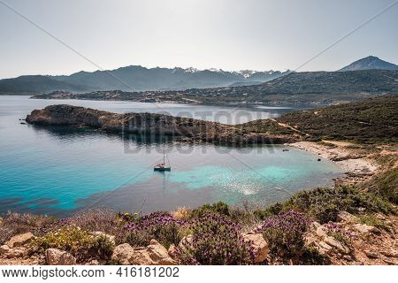 A Sailing Yacht Is Moored In A Bay On The Translucent Mediterranean Sea On The Coast Of La Revellata