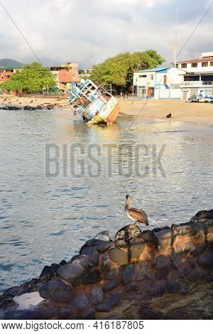 SAN CRISTOBAL ISLAND, GALAPAGOS - FEBRUARY 17, 2017: Ship wreck and pelican. In Puerto Baquerizo Moreno the Capitol city of the Galapagos Archipelago.