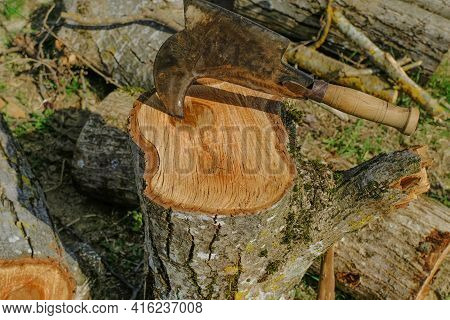 Old Metal Ax With Wooden Handle Stuck In The Wooden Log Close-up Across Logs. Wood Chopping Process.