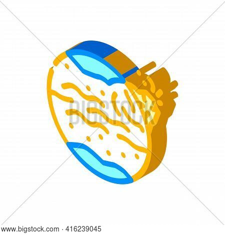 Eruption On Other Planets Isometric Icon Vector. Eruption On Other Planets Sign. Isolated Symbol Ill