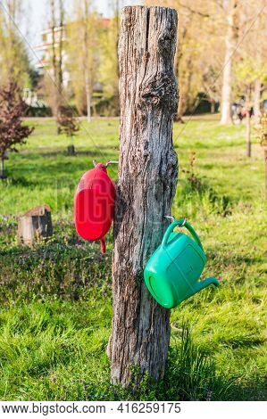 Pablic Watering Cans In The Park , Watering Trees