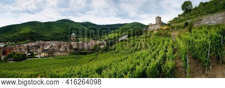 Summer View Between The Vines Of The Vineyard Of Keysersberg, Famous Winemaking Village In Alsace, N