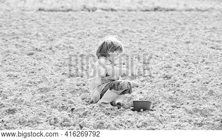 Small Kid Planting A Flower. Earth Day. New Life. Summer Farm. Happy Child Gardener. Botanic Worker.