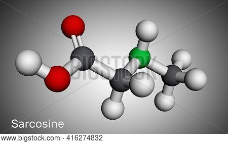 Sarcosine, N-methylglycine, N-alkylglycine Molecule. It Is Amino Acid Derivative, Conjugate Acid Of 