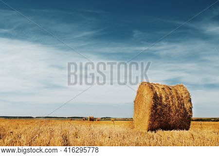 Straw Rolled Into A Roll. Hay In Rolls In A Wheat Field. Beautiful Rural Landscape.