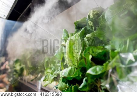 Fresh Salad At The Supermarked Sprayed With Mist Water From The Mini Nozzles To Keep It More Appeali