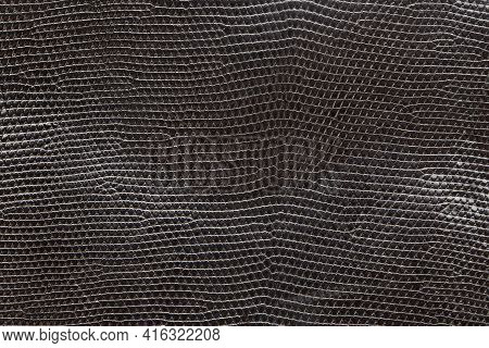 Black Natural Leather And Texture Background. Skin Pattern Background
