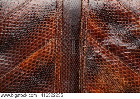 Snakeskin Leather And Texture Background. Skin Pattern Background. Top View.