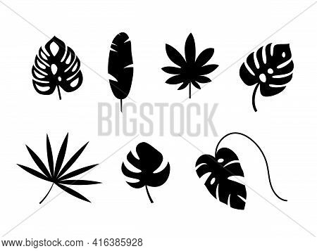 Set Of Exotic Tropical Leaves. Monstera, Palm, Banana. Vector Stock Illustration For Poster Or Card