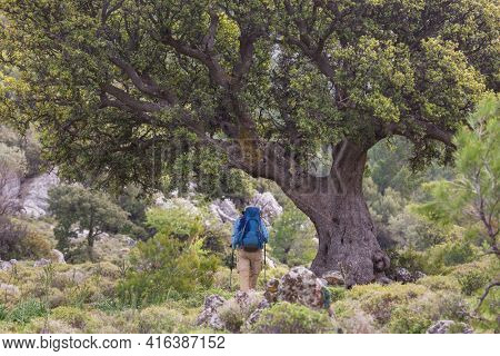 Beautiful landscapes on the Carian trail. Aegean Sea, Turkey.
