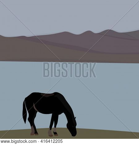Spring Rural Landscape With A Grazing Horse On The Lake Shore