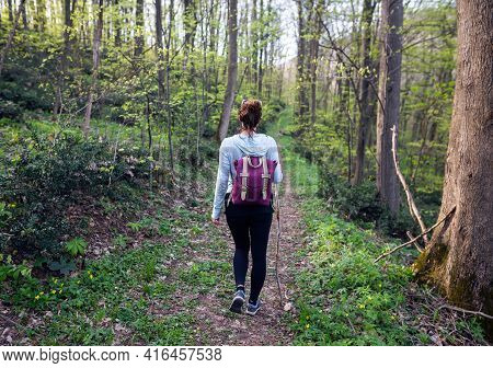 Woman in forest nature. Woman in nature. Nature Green forest nature. Natural environment nature. Nature in springtime. Adventure in nature. Woman hiking in nature. Weekend in nature.