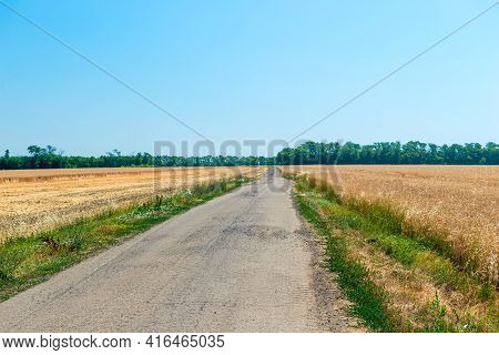 Rural Field Road Scene. Summer Rural Road. Rural Road Landscape