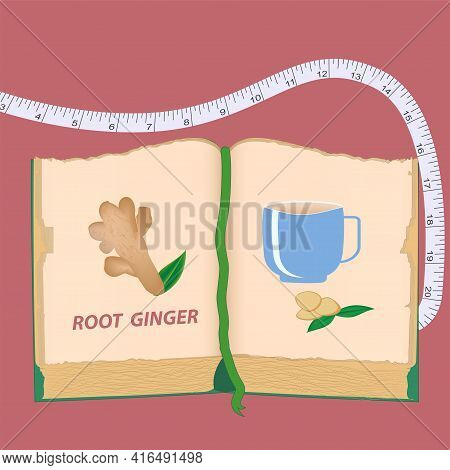 Ginger Root, Vintage Recipes Cookbook, Measuring Tape - Vector. Medicinal Plant. Beauty And Health. 