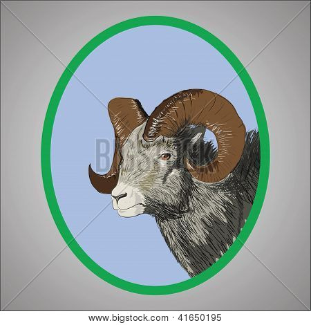 RAM