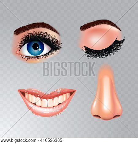 Set Of Beautiful Female Eyes With Extended Eyelashes And Smiling Mouth With Glossy Lips. Grinning Te