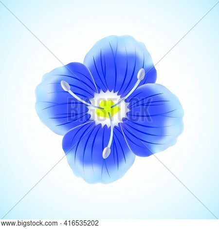 Beautiful Wildflower Veronica Chamadris Isolated On White And Blue Background.vector Illustration.