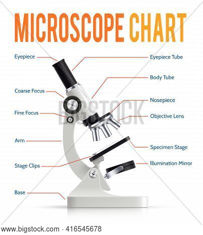 Modern Electronic Powerful Lab Microscope Parts Infographic  Presentation Chart With Realistic Instr