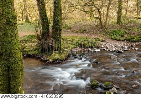 Horner Woods In Somerset