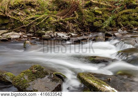 Horner Woods In Somerset