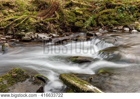 Horner Woods In Somerset