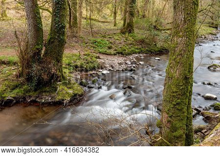 Horner Woods In Somerset