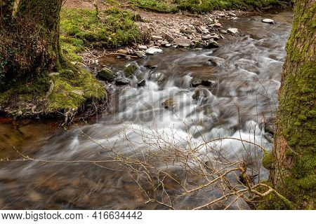Horner Woods In Somerset