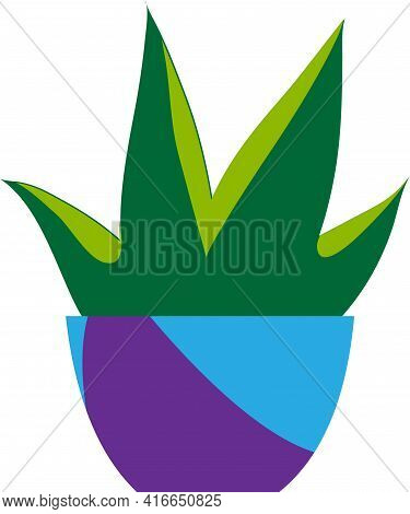 Flowerpot Reo With Indoor Cactus Flower Room Design Element.