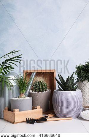 Different House Plants In Pots With Gardening Tools On White Table