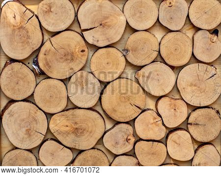 Wooden Background Made Of Cutted Round Wood Secrions