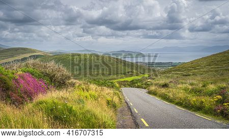 Wildflowers Blooming At Spring Near Road Leading To Dunquin Village. Beautiful Panoramic View On Din