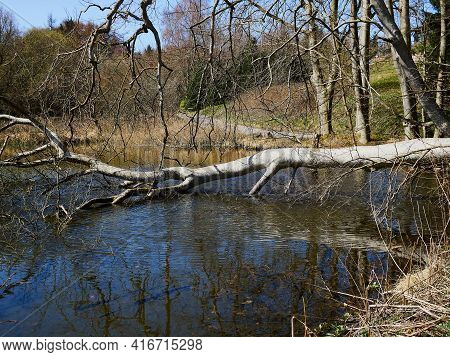 Beautiful Calm Small Lake Surrounded By Trees Near Faaborg Denmark - Nature And Outdoors Travel Back