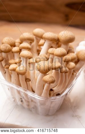 Shimeji Edible Mushrooms Native To East Asia, Buna-shimeji Is Widely Cultivated And Rich In Umami Ta