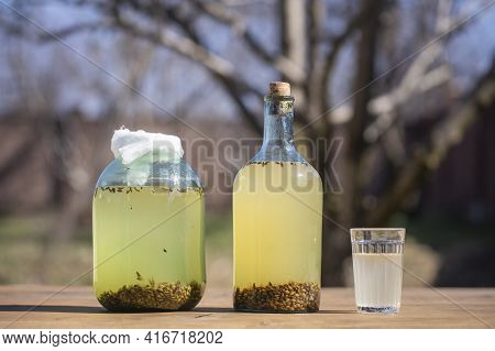 Traditional Ukrainian Cold Barley Drink Kvass In A Glass Jar On Nature Background. Kvass Drink Made 
