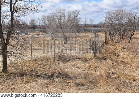 A Former Ignored Baseball Field Consists Of A Backstop, Long Grass, And A Tree In The Infield.