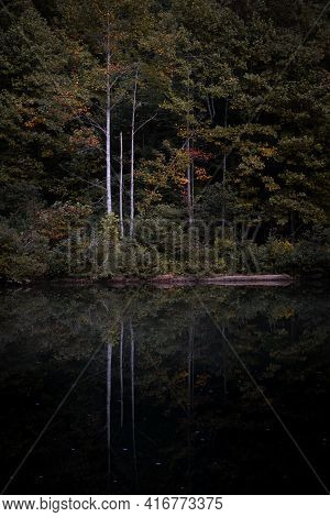 Pond Reflection At George's Hole In Fall Creek Falls State Park In Tennessee