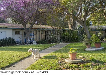 Tze'elim, Israel - March 13th, 2021: A Typical Scenery In An Israeli Kibbutz, Including Houses, Vege