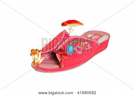 Closeup Pantoffeln mit Pilzen