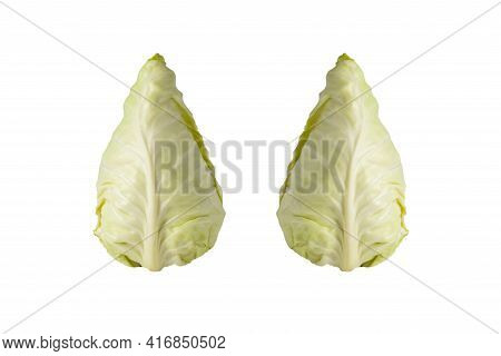Freshnnes Pointed Cabbage Cutting Half On White Background Isolated And Clipping Path. The Shape Is