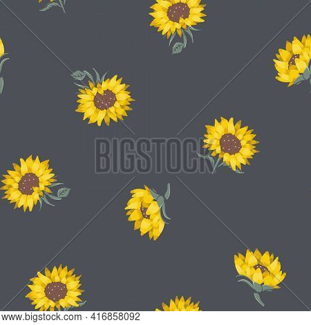 Vector Beautiful Natural Sunflowers On Dark Seamless Pattern Background. Perfect For Fabric, Scrapbo