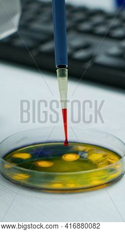 Close Up Of Scientist Using Micropipette For Analysing Blood Sample