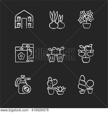 Gardening Store Categories Chalk White Icons Set On Black Background. Flower Pots And Flower Beds. S